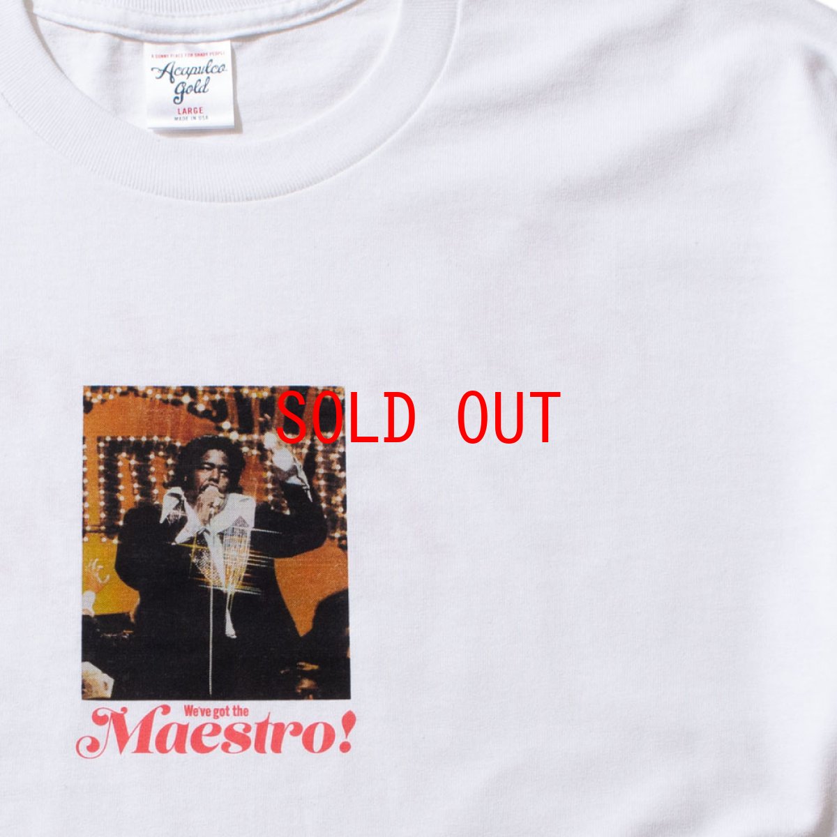 画像4: Maestro L/S Tee マエストロ 長袖 Tシャツ (4)