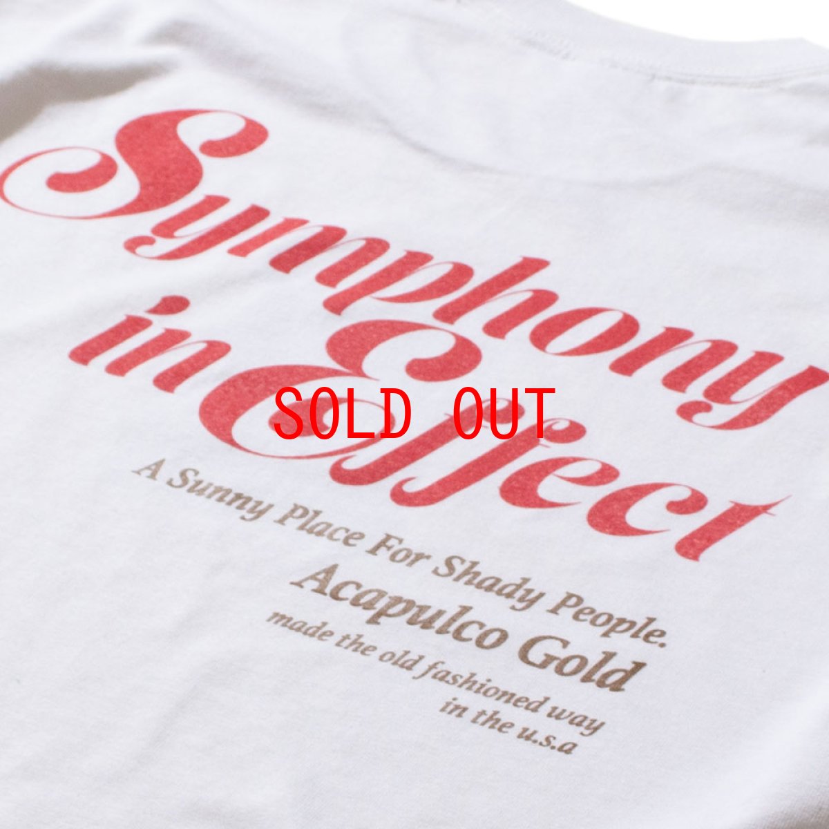 画像5: Maestro L/S Tee マエストロ 長袖 Tシャツ (5)