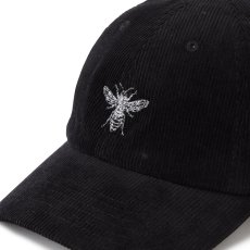 画像8: Anderson Corduroy Bee Panel Cap 6パネル コーデュロイ キャップ 帽子 (8)