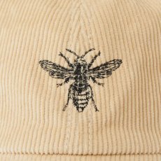 画像5: Anderson Corduroy Bee Panel Cap 6パネル コーデュロイ キャップ 帽子 (5)