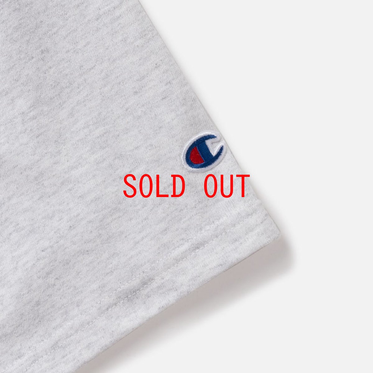 画像8: Digsport Heavy Weight S/S Tee Bag ロゴ ヘビーウェイト 半袖 Tシャツ (8)