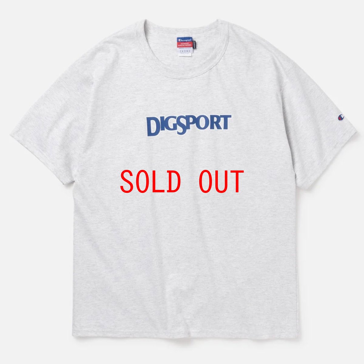 画像2: Digsport Heavy Weight S/S Tee Bag ロゴ ヘビーウェイト 半袖 Tシャツ (2)