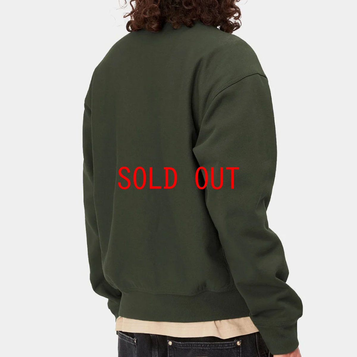 画像6: Half Zip American Script Sweatshirt Plant ハーフ ジップ アメリカン スクリプト スウェット シャツ (6)