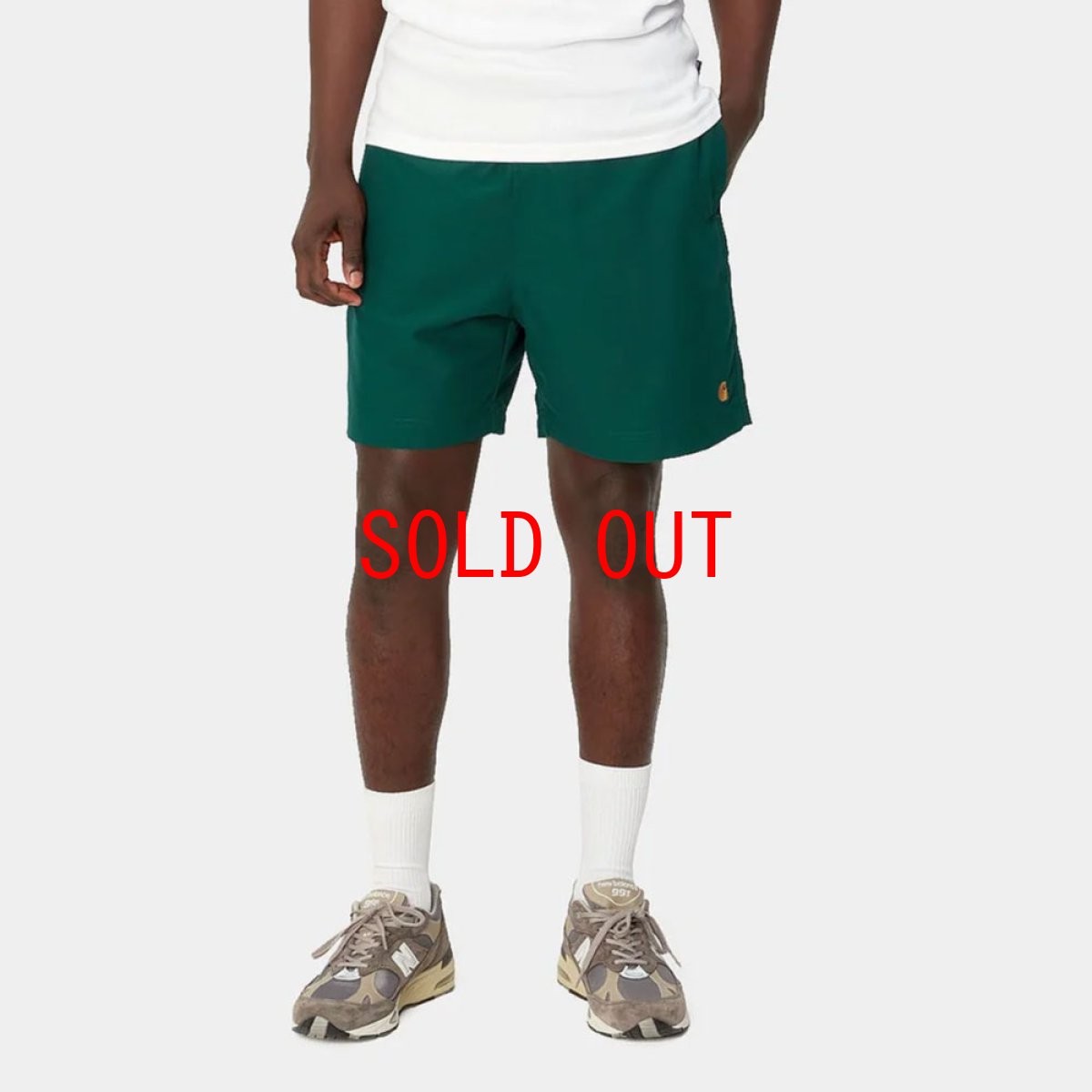 画像9: Chase Swim Trunks GRN/GLD 水陸両用 スイム トランクス ショーツ パンツ (9)