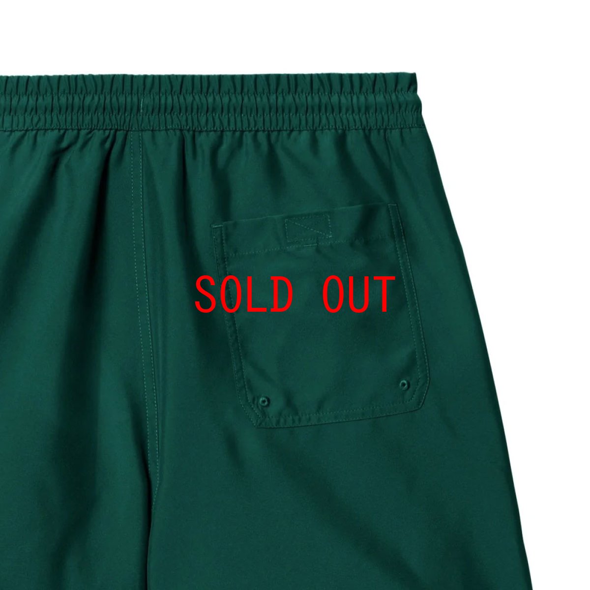 画像6: Chase Swim Trunks GRN/GLD 水陸両用 スイム トランクス ショーツ パンツ (6)