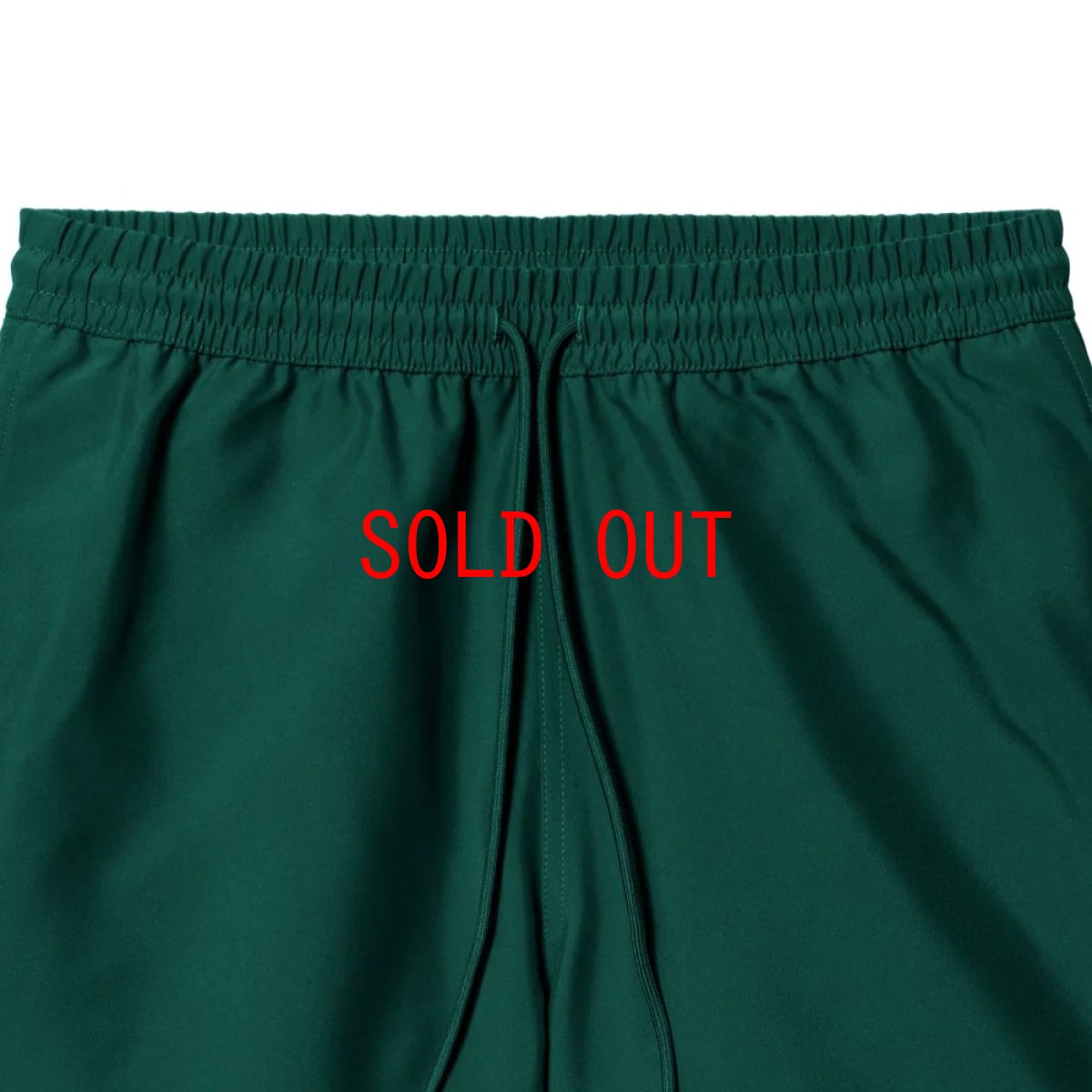 画像5: Chase Swim Trunks GRN/GLD 水陸両用 スイム トランクス ショーツ パンツ (5)