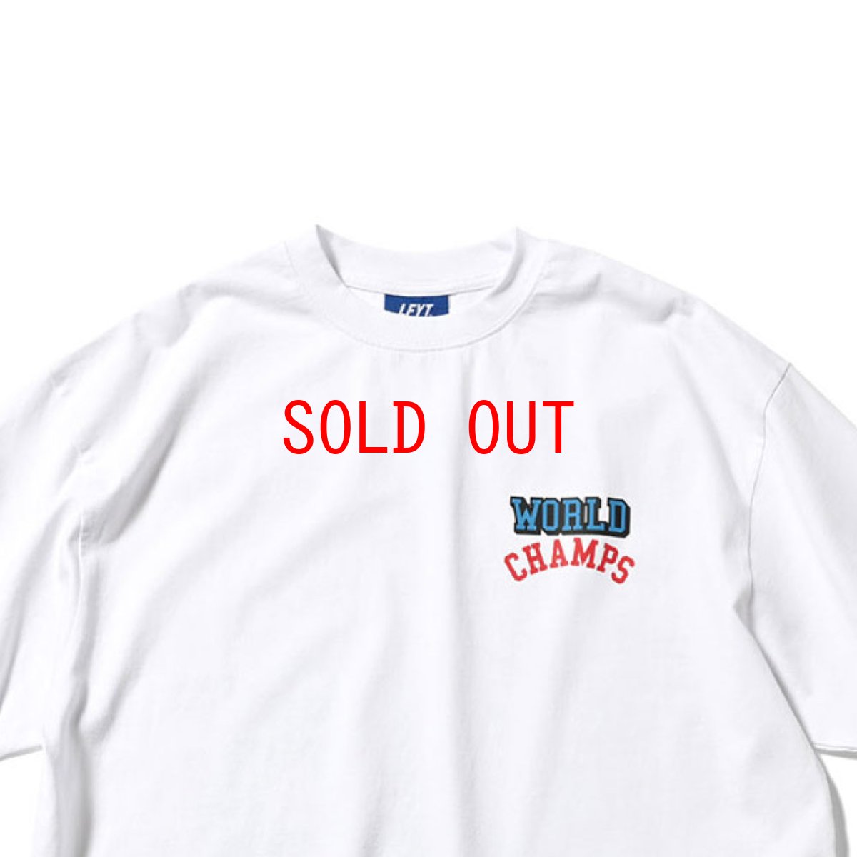 画像6: World Champs Tee Type8 Vintage WHT ワールドチャンプス ビンテージ 半袖 Tシャツ (6)