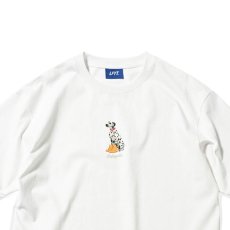 画像1: Dalmatian S/S Tee ダルメシアン イエロー ブーツ 半袖 Tシャツ (1)