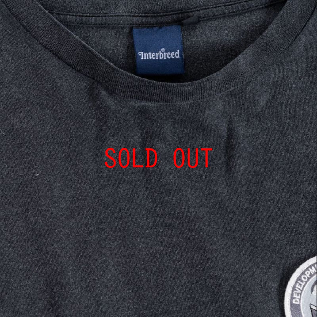 画像9: Department Pigment L/S Tee デパートメント ピグメント ワッペン 長袖 Tシャツ (9)