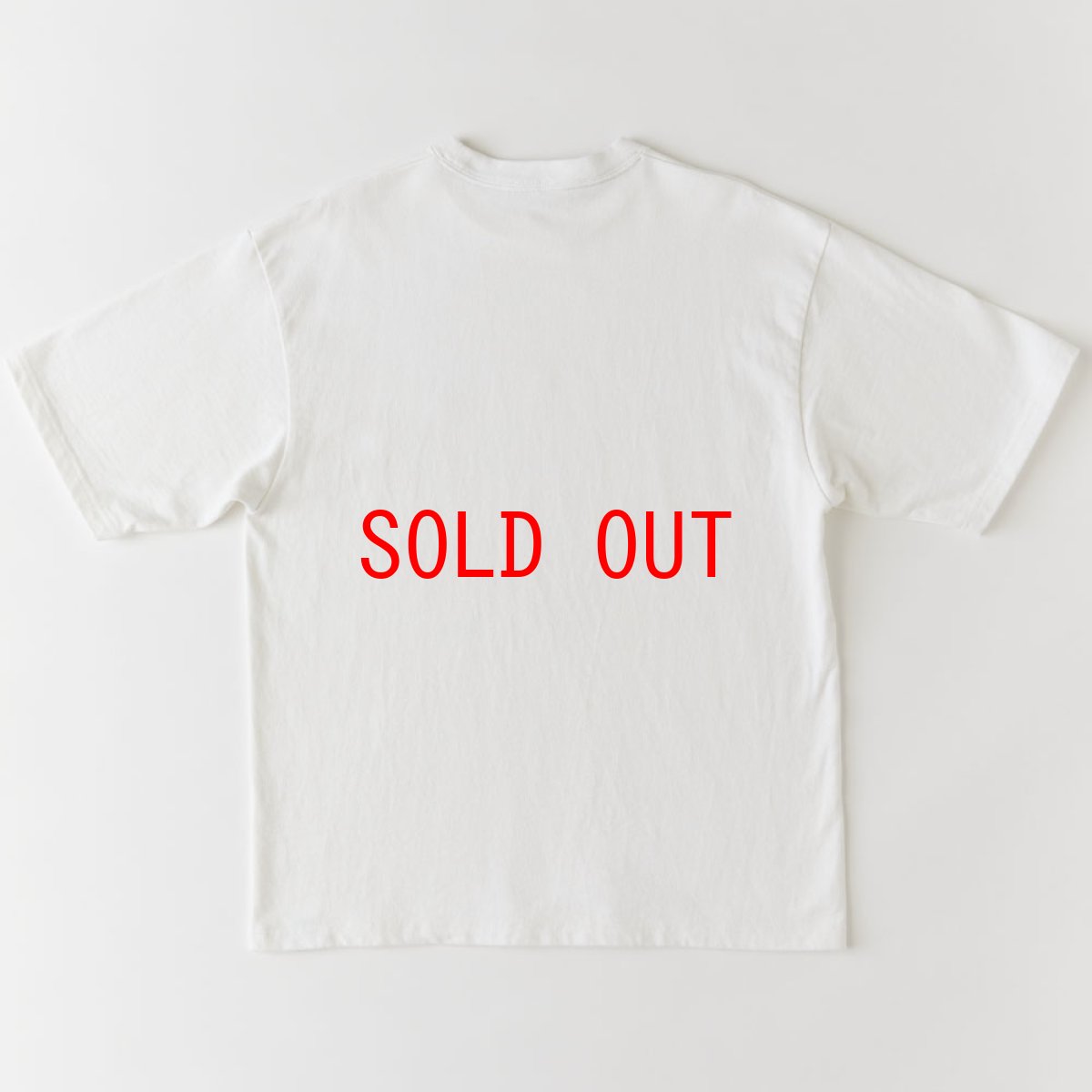 画像3: FOUNDATION S/S Logo Tee 半袖 ヘヴーウェイト Tシャツ (3)