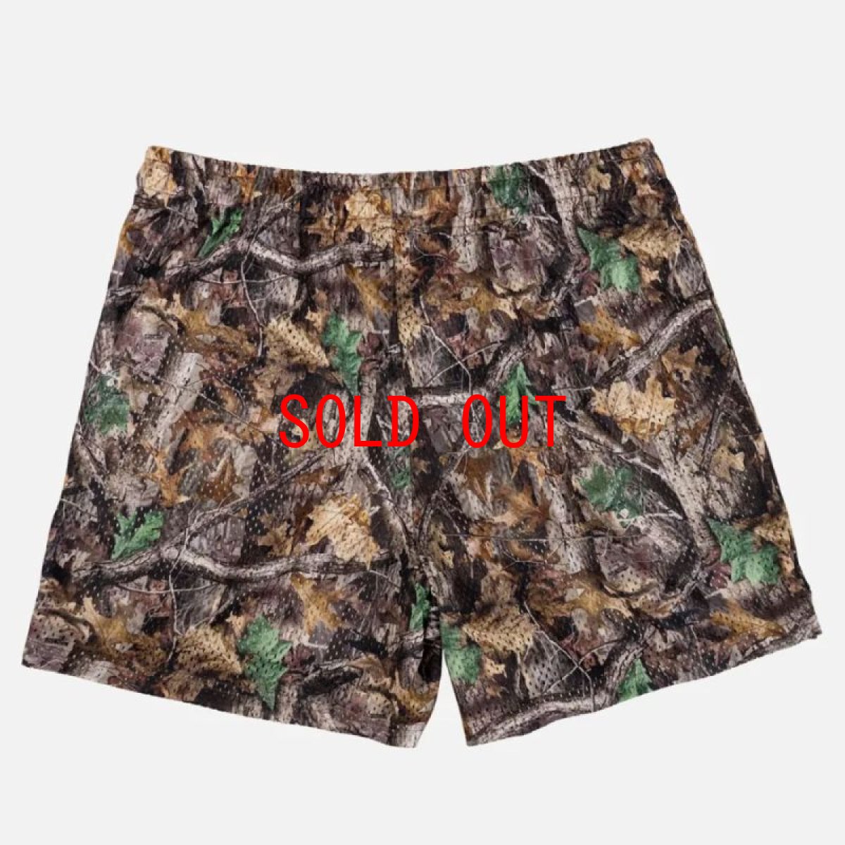 画像3: Airy Training Shorts Real Tree リアルツリー トレーニング メッシュ ショーツ (3)