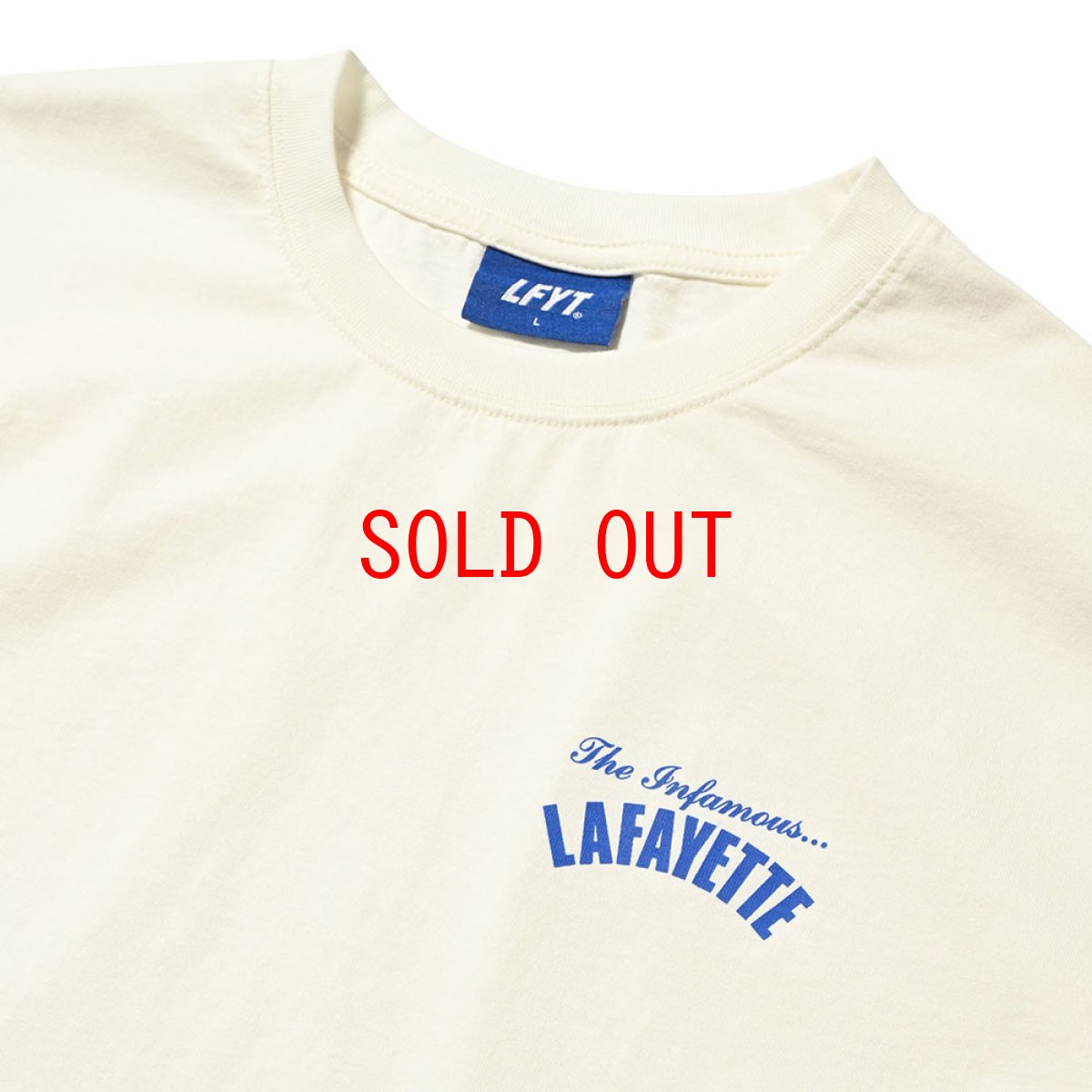 画像6: PigmentDyed Infamous S/S Logo Tee NTL ピグメントダイ ロゴ 半袖 Tシャツ (6)