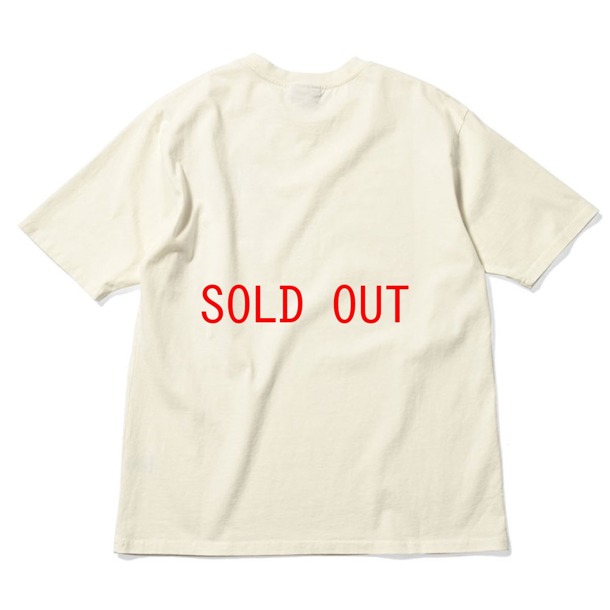 画像2: PigmentDyed Infamous S/S Logo Tee NTL ピグメントダイ ロゴ 半袖 Tシャツ (2)