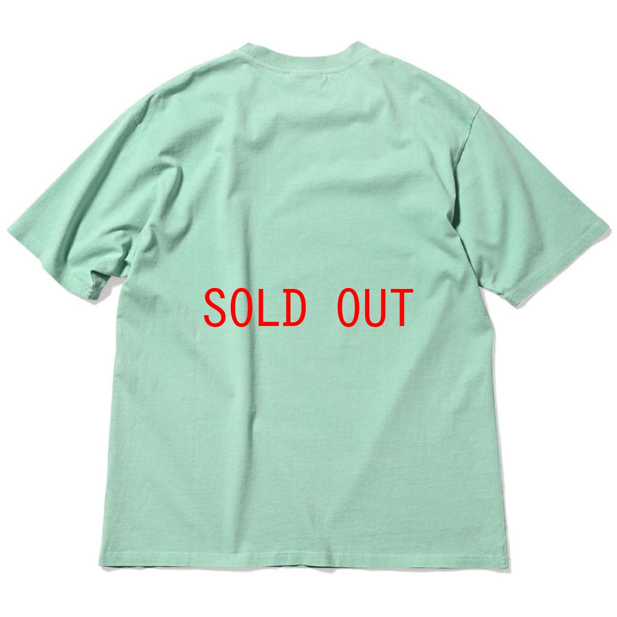 画像3: PigmentDyed Infamous S/S Logo Tee ピグメントダイ ロゴ 半袖 Tシャツ (3)