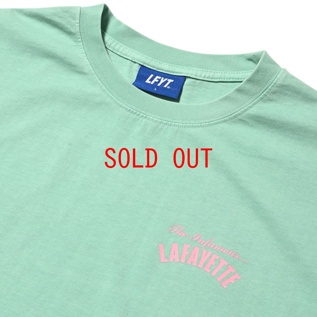 画像6: PigmentDyed Infamous S/S Logo Tee ピグメントダイ ロゴ 半袖 Tシャツ (6)