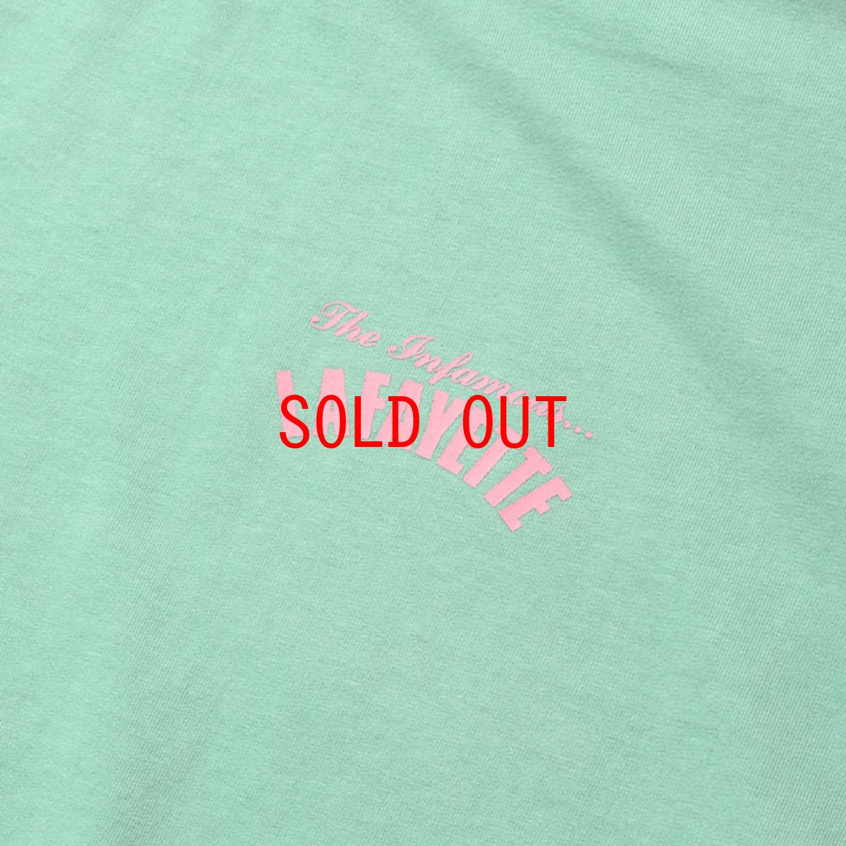 画像5: PigmentDyed Infamous S/S Logo Tee ピグメントダイ ロゴ 半袖 Tシャツ (5)