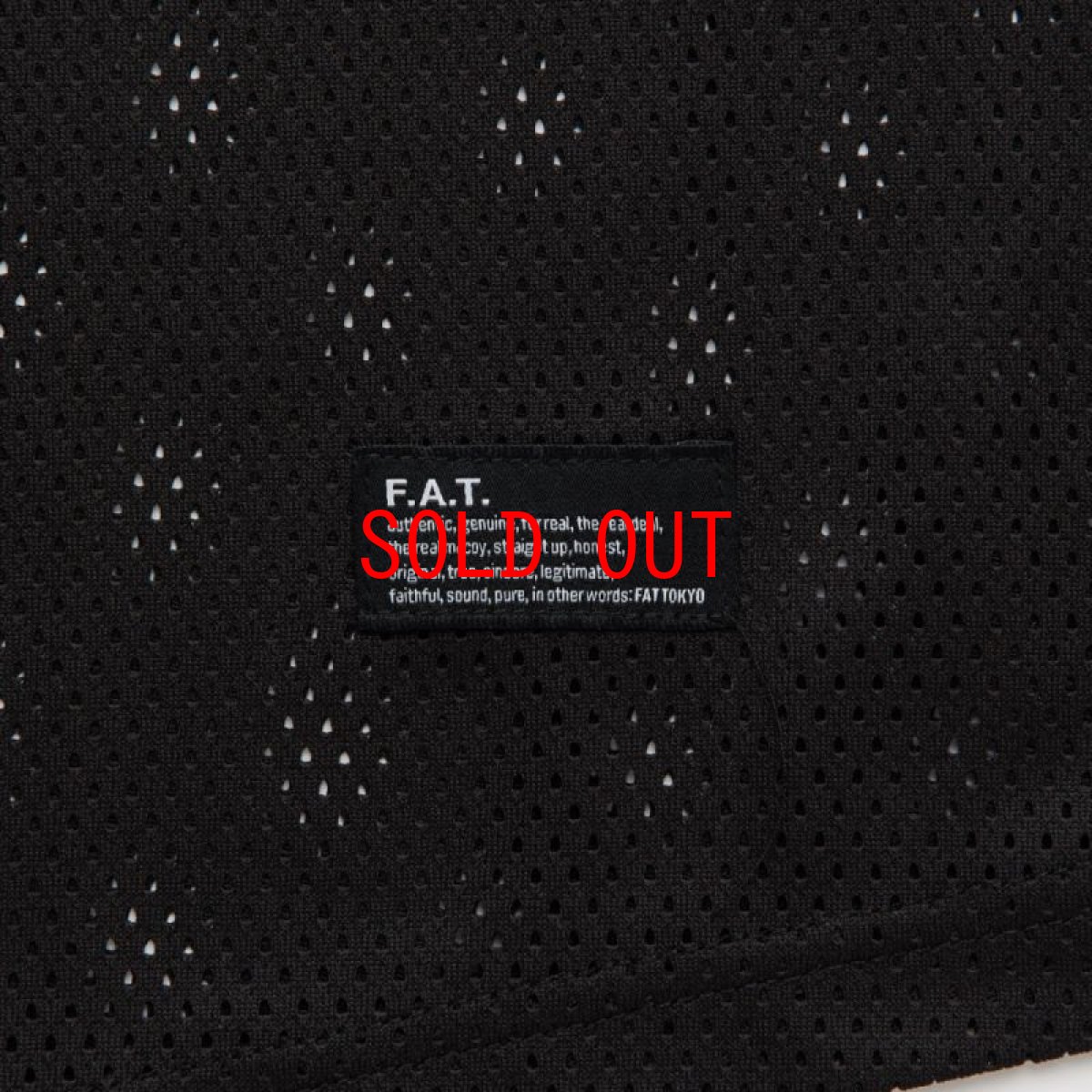 画像6: GIGAMESH S/S Mesh Tee 半袖 メッシュ ジャージ Tシャツ (6)