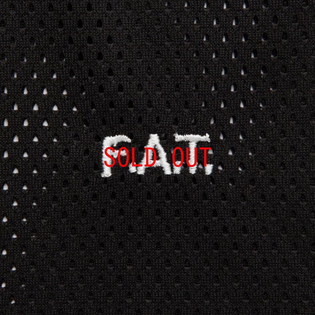 画像5: GIGAMESH S/S Mesh Tee 半袖 メッシュ ジャージ Tシャツ (5)