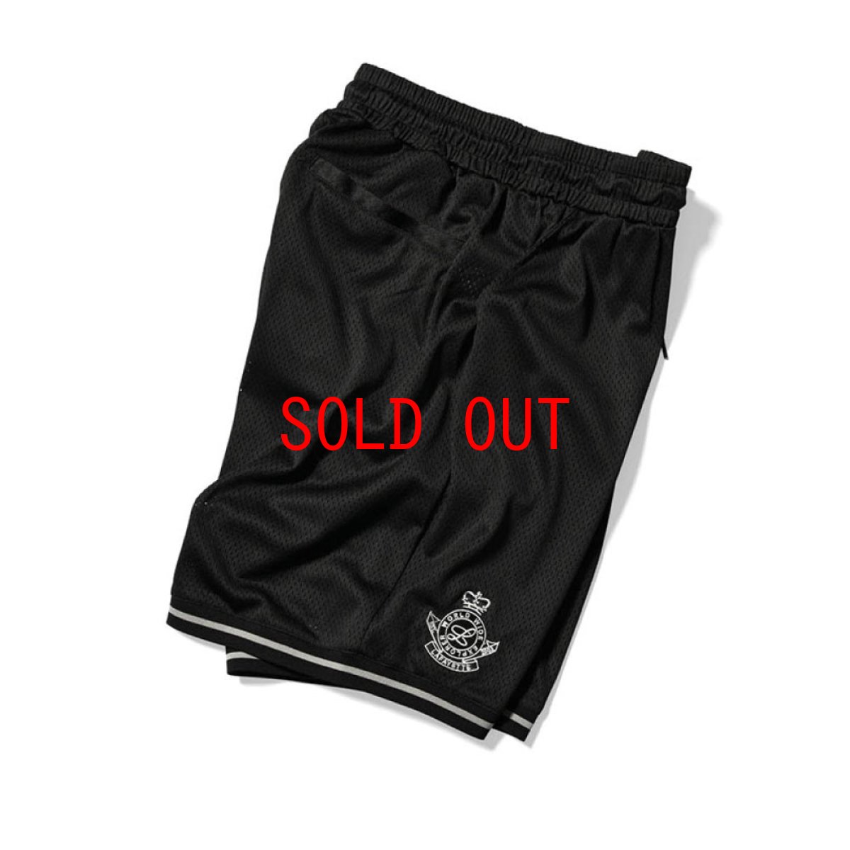 画像6: Script Logo Mesh Shorts メッシュ ショーツ (6)