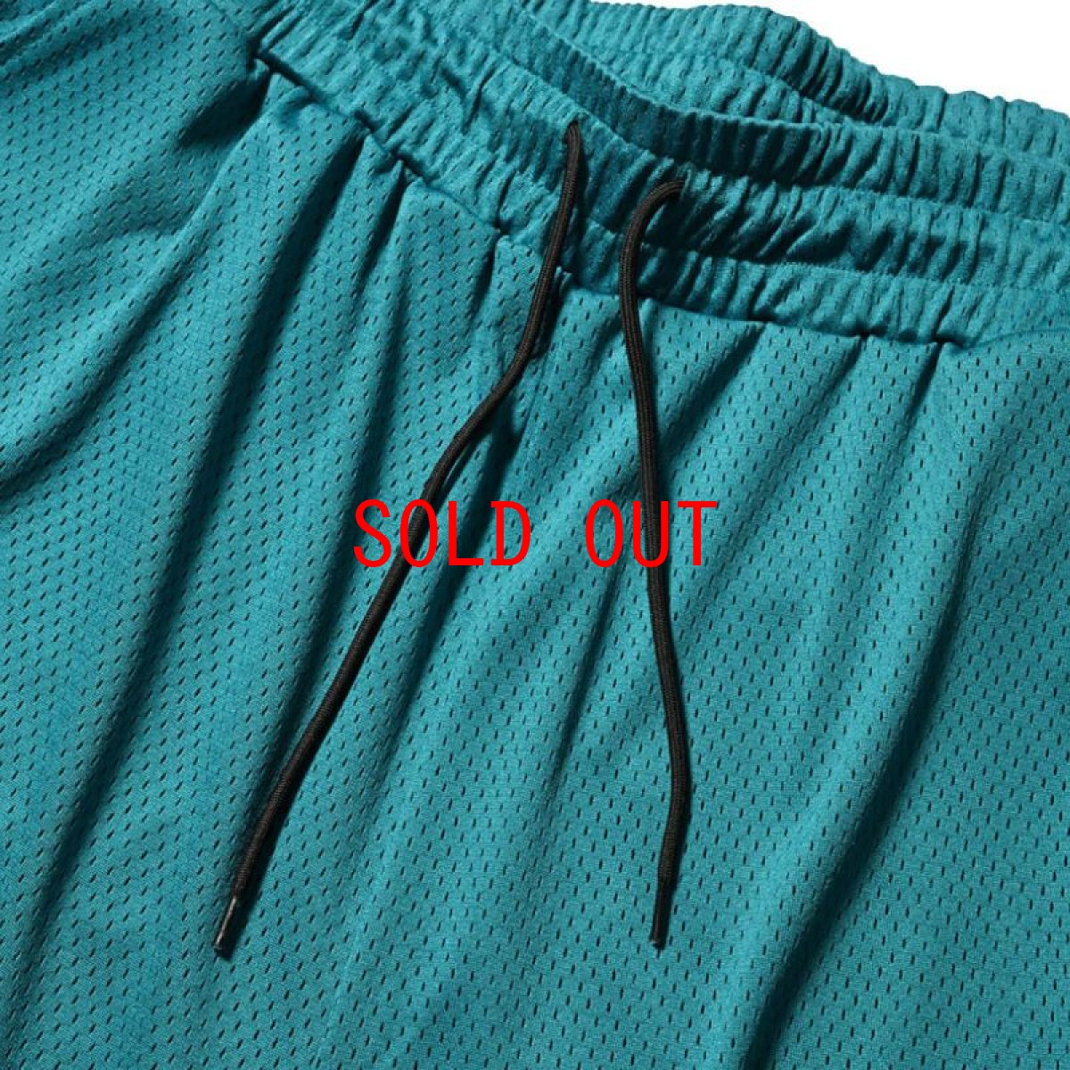 画像3: Script Logo Mesh Shorts Green メッシュ ショーツ (3)