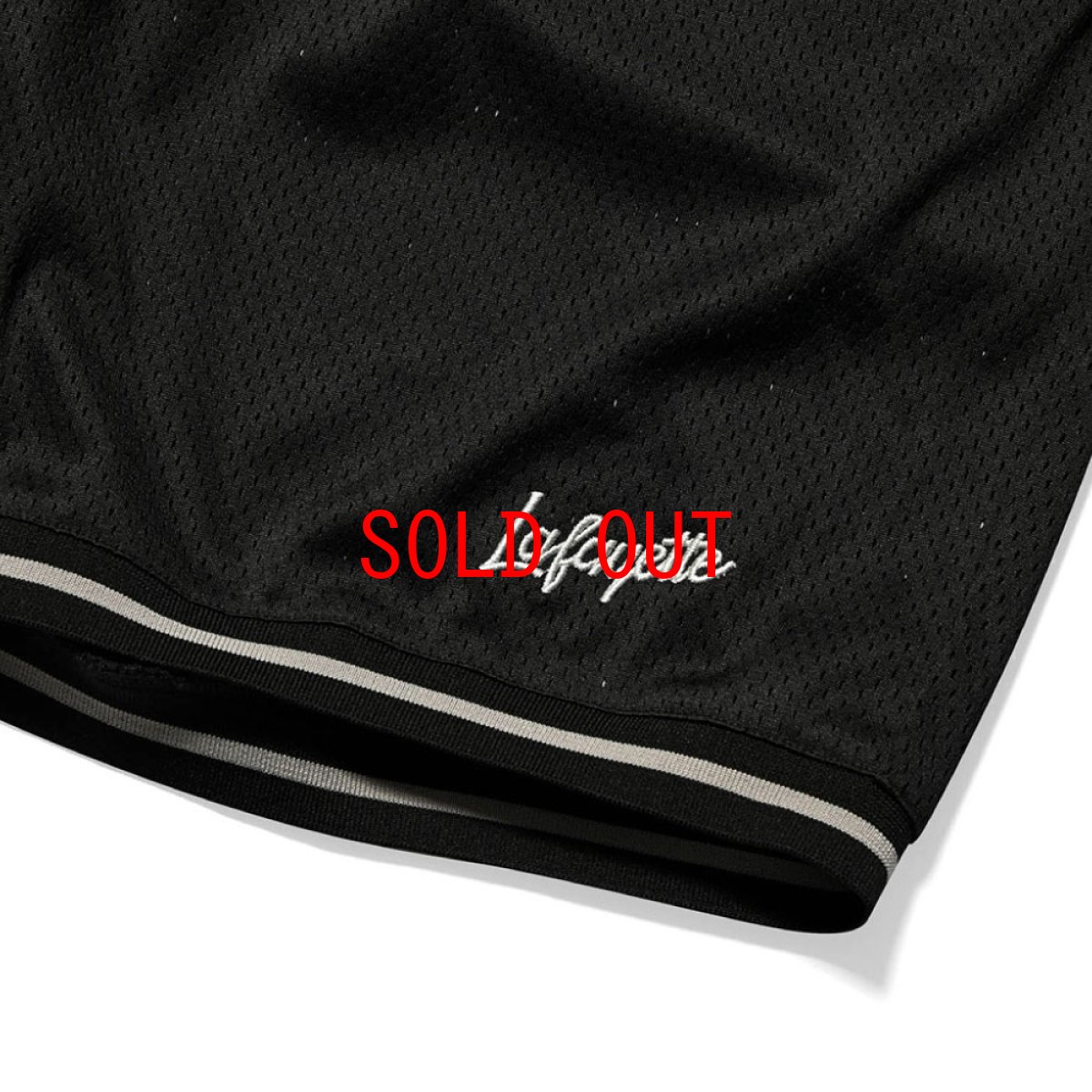 画像3: Script Logo Mesh Shorts メッシュ ショーツ (3)