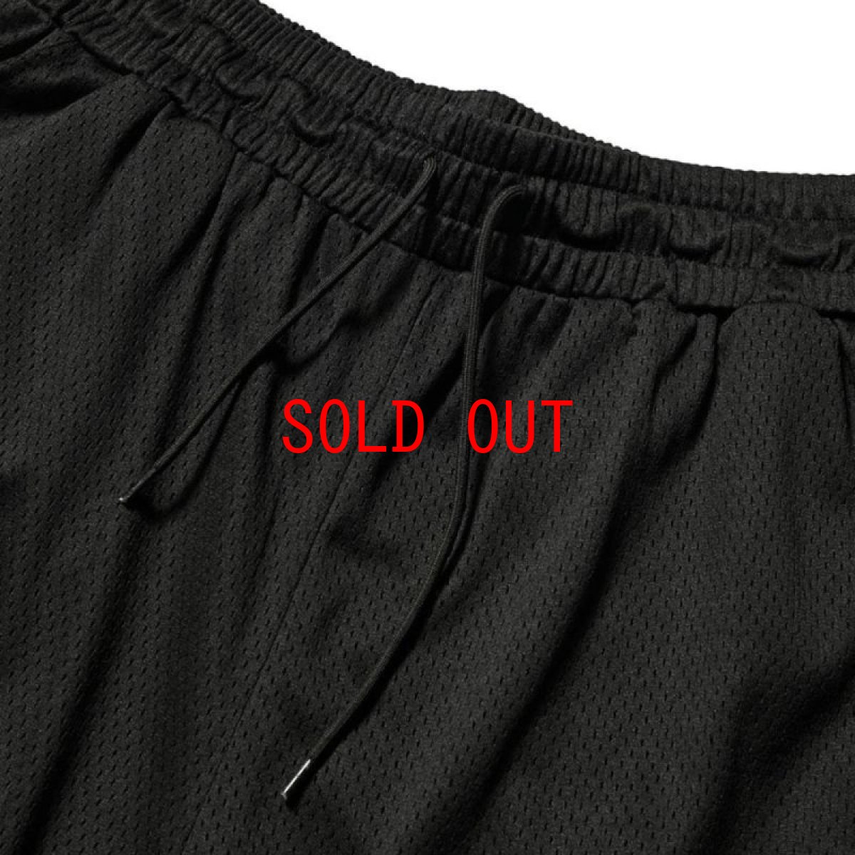 画像4: Script Logo Mesh Shorts メッシュ ショーツ (4)