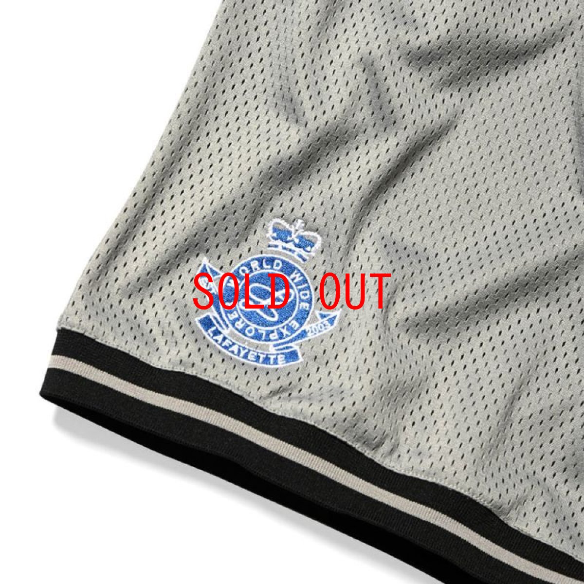 画像4: Script Logo Mesh Shorts Grey メッシュ ショーツ (4)