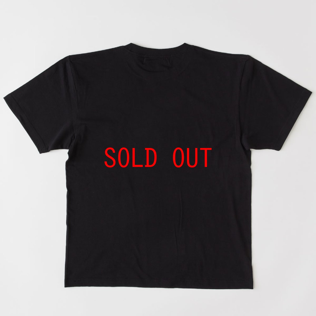 画像3: SIGNETee S/S Tee 半袖 Tシャツ (3)