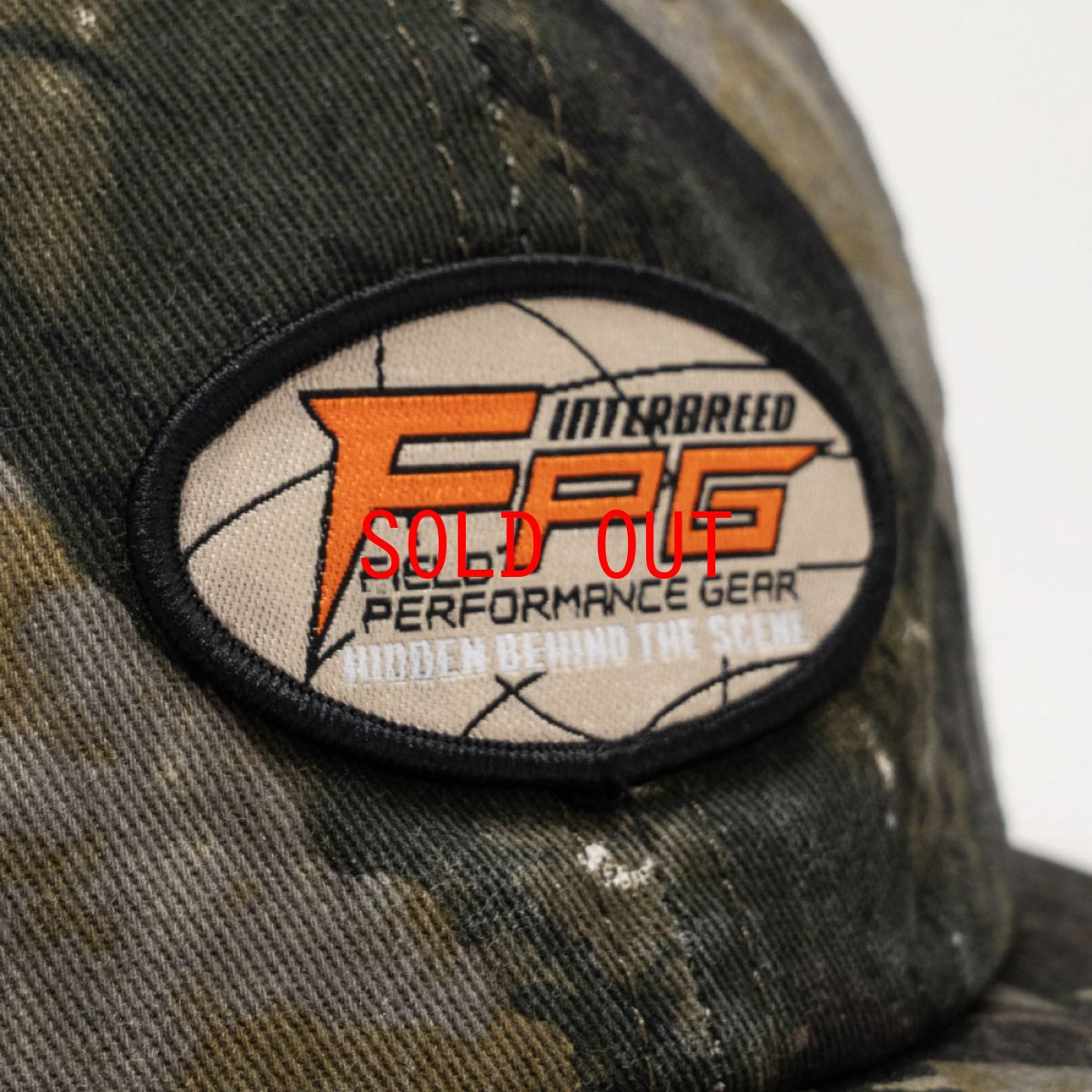 画像4: IFPG Realtree Snapback Cap リアルツリー スナップバック キャップ 帽子 (4)