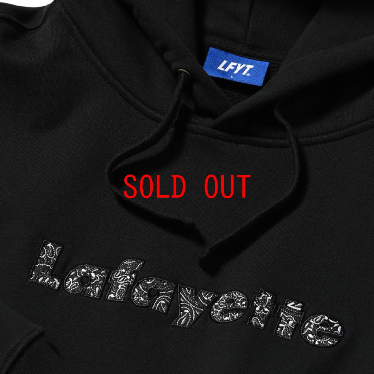 画像4: Logo Paisley Hoodie プルオーバー パーカー ペイズリー スウェット (4)