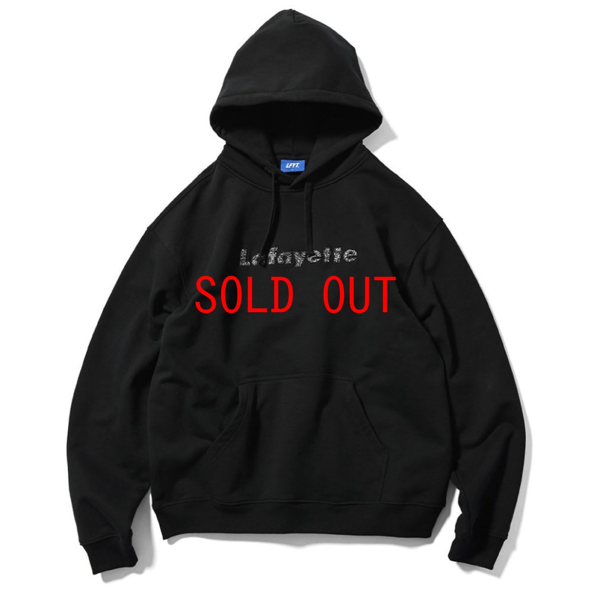 画像2: Logo Paisley Hoodie プルオーバー パーカー ペイズリー スウェット (2)