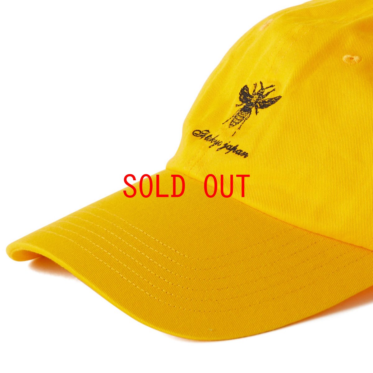 画像9: FERGUSON Dad Hat Ball Cap 6パネル ダッド ハット キャップ 帽子 (9)