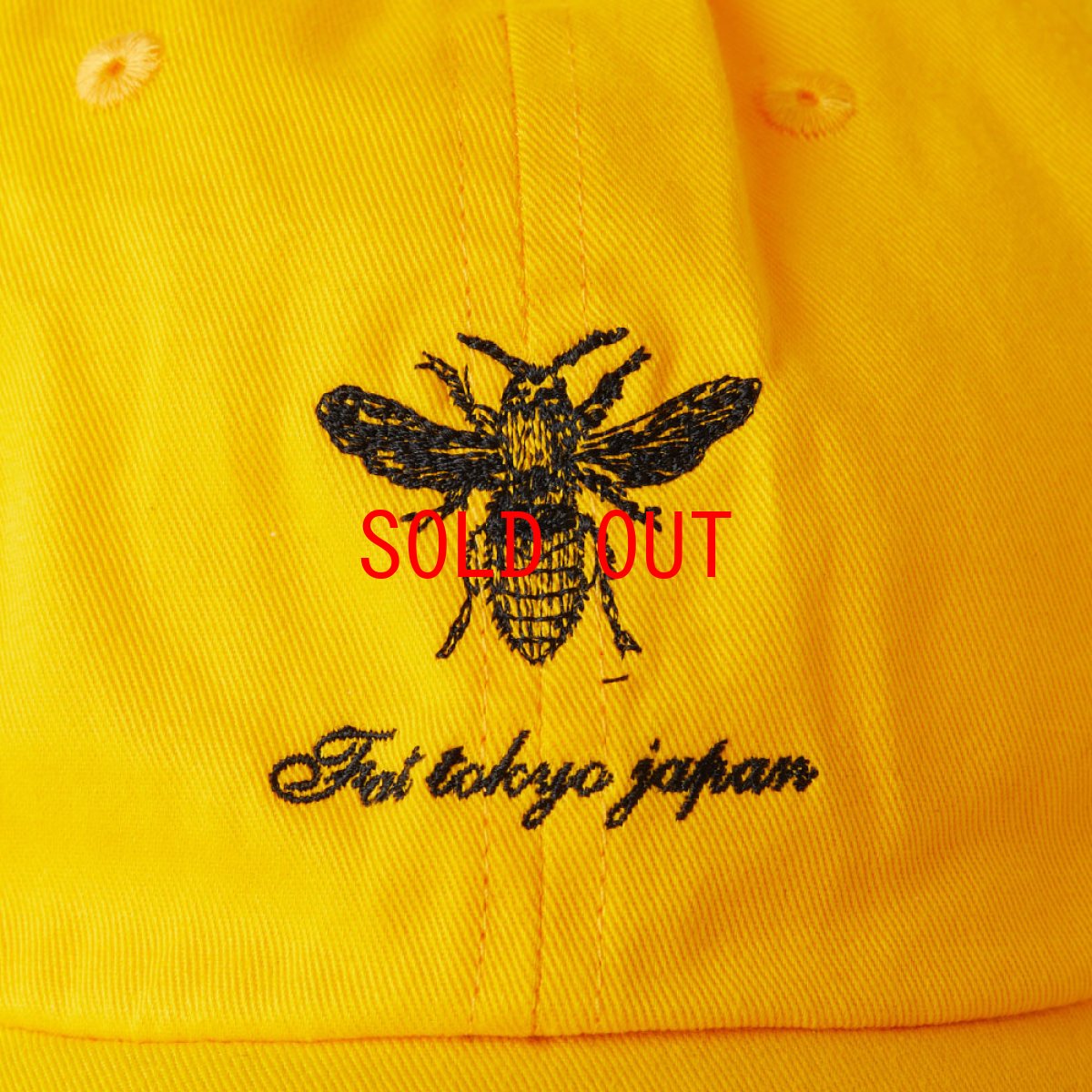 画像7: FERGUSON Dad Hat Ball Cap 6パネル ダッド ハット キャップ 帽子 (7)