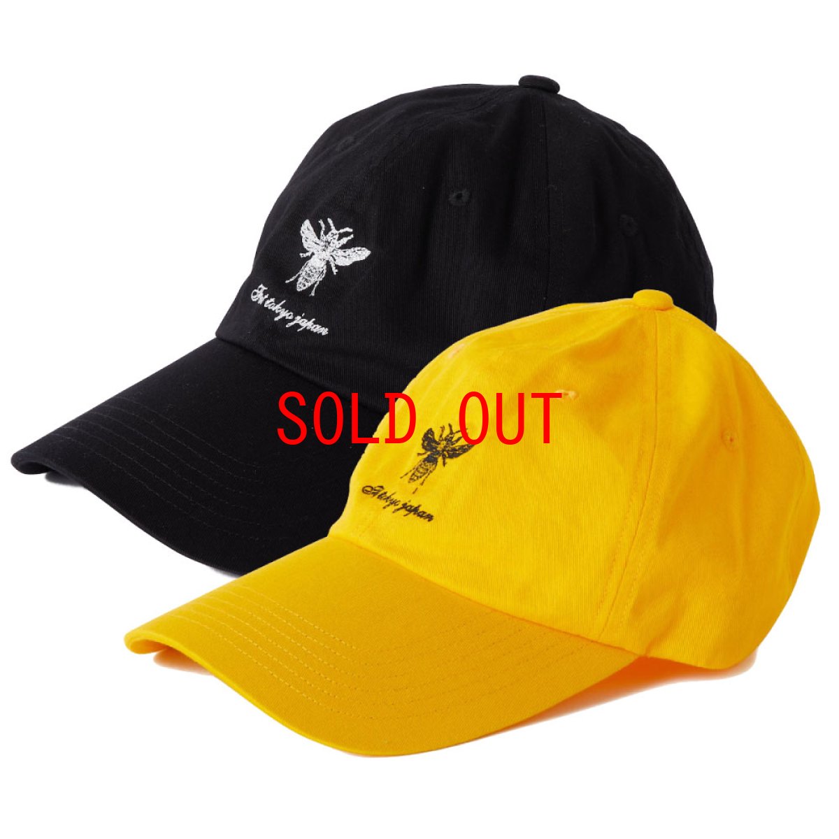 画像1: FERGUSON Dad Hat Ball Cap 6パネル ダッド ハット キャップ 帽子 (1)