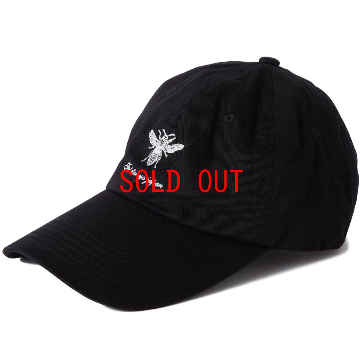 画像2: FERGUSON Dad Hat Ball Cap 6パネル ダッド ハット キャップ 帽子 (2)