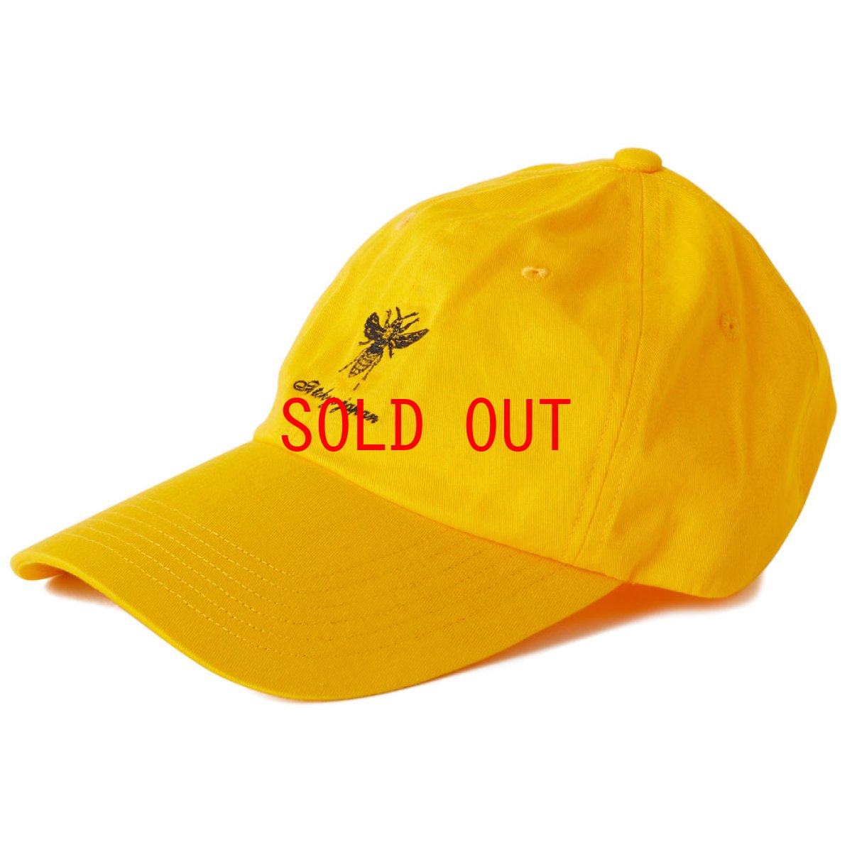 画像3: FERGUSON Dad Hat Ball Cap 6パネル ダッド ハット キャップ 帽子 (3)