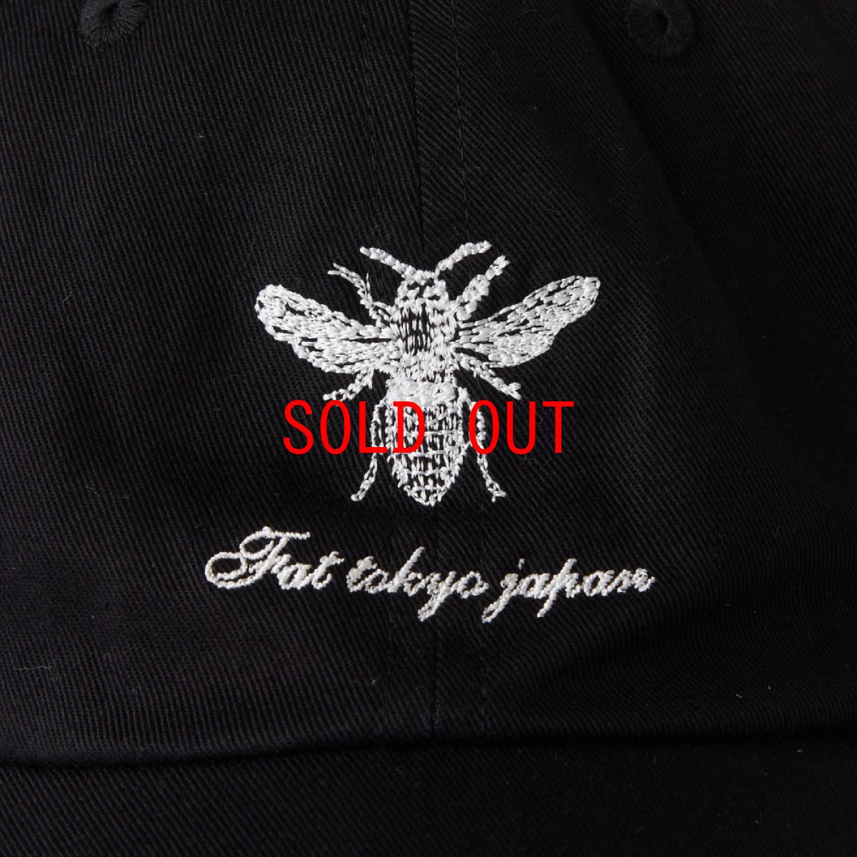 画像6: FERGUSON Dad Hat Ball Cap 6パネル ダッド ハット キャップ 帽子 (6)