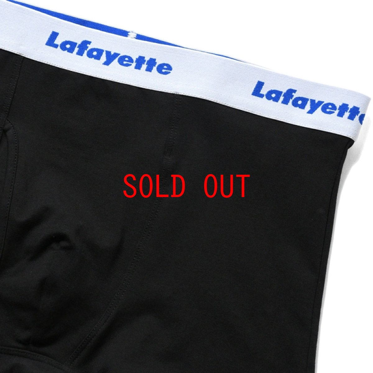 画像5: Logo Boxer Brief Pants ボクサー ブリーフ パンツ  (5)