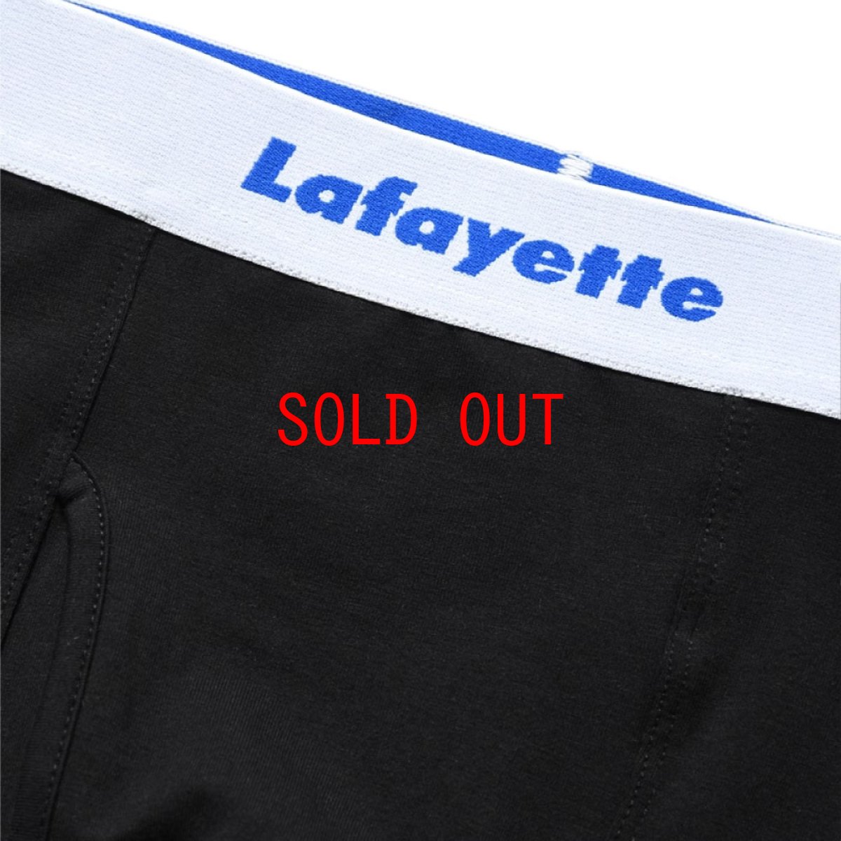 画像4: Logo Boxer Brief Pants ボクサー ブリーフ パンツ  (4)