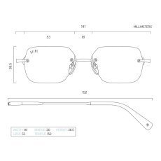 画像6: Clarity Lite & 24K Gold Sunglasses クラリティー 偏光レンズ リムレス 24K ゴールド サングラス レンズ (6)