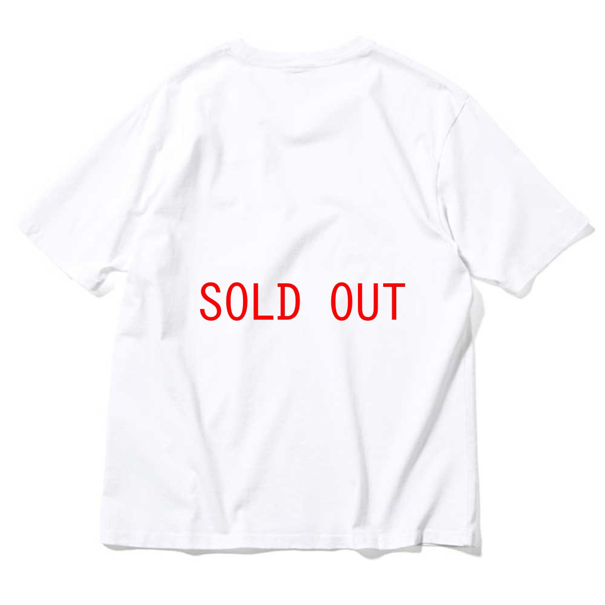 画像2: Old English Logo S/S Pigment Dyed Tee WHT オールドイングリッシュ ピグメント ロゴ 半袖 Tシャツ (2)