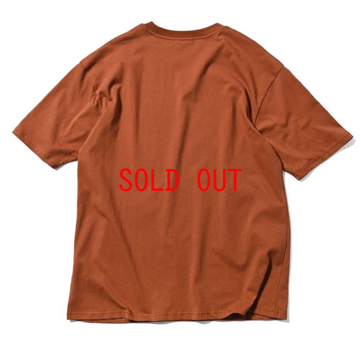 画像2: Arch Logo S/S Tee Brown アーチ ロゴ 半袖 Tシャツ (2)