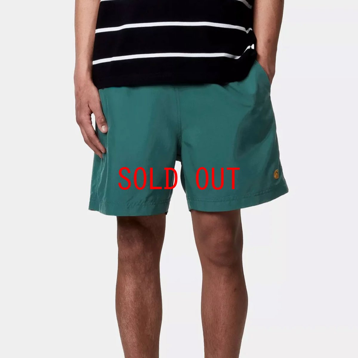 画像3: Chase Swim Trunks GRN 水陸両用 スイム トランクス ショーツ パンツ (3)