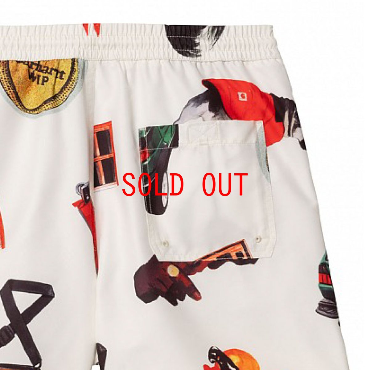 画像7: Slater Swim Jacob Rochester Print Shorts 水陸両用 スイム ショーツ ハーフ パンツ (7)