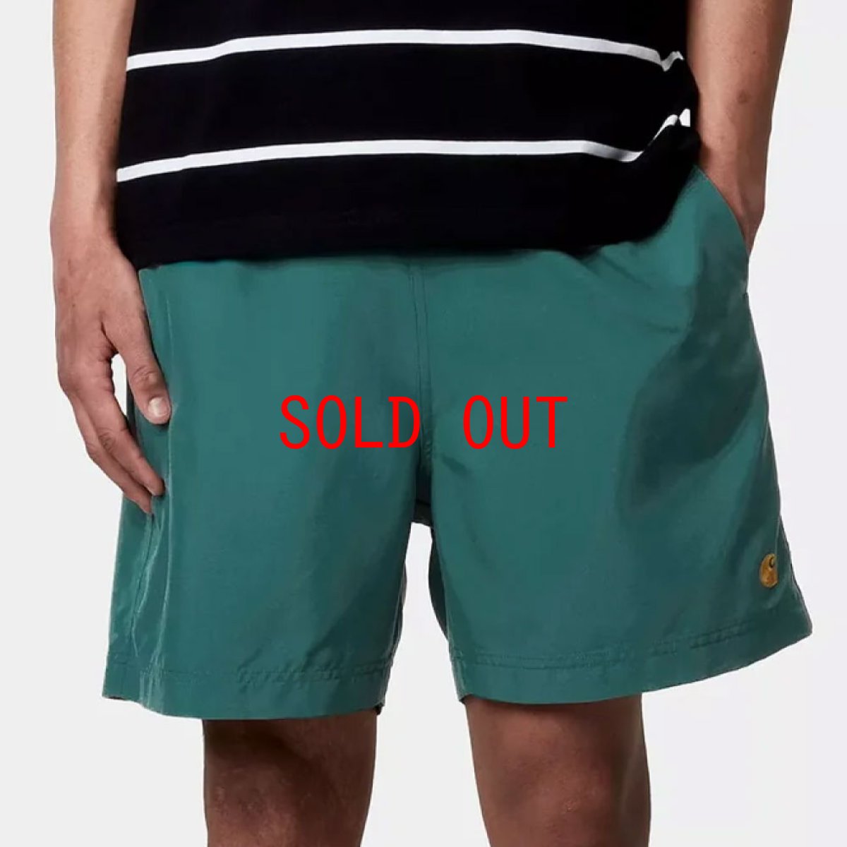 画像1: Chase Swim Trunks GRN 水陸両用 スイム トランクス ショーツ パンツ (1)