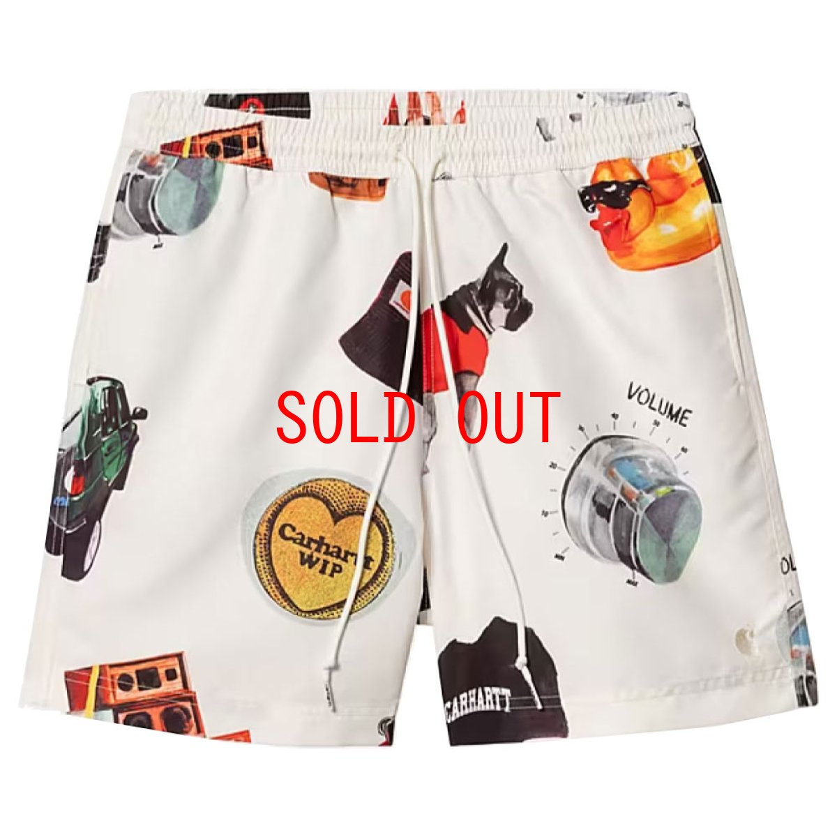 画像2: Slater Swim Jacob Rochester Print Shorts 水陸両用 スイム ショーツ ハーフ パンツ (2)