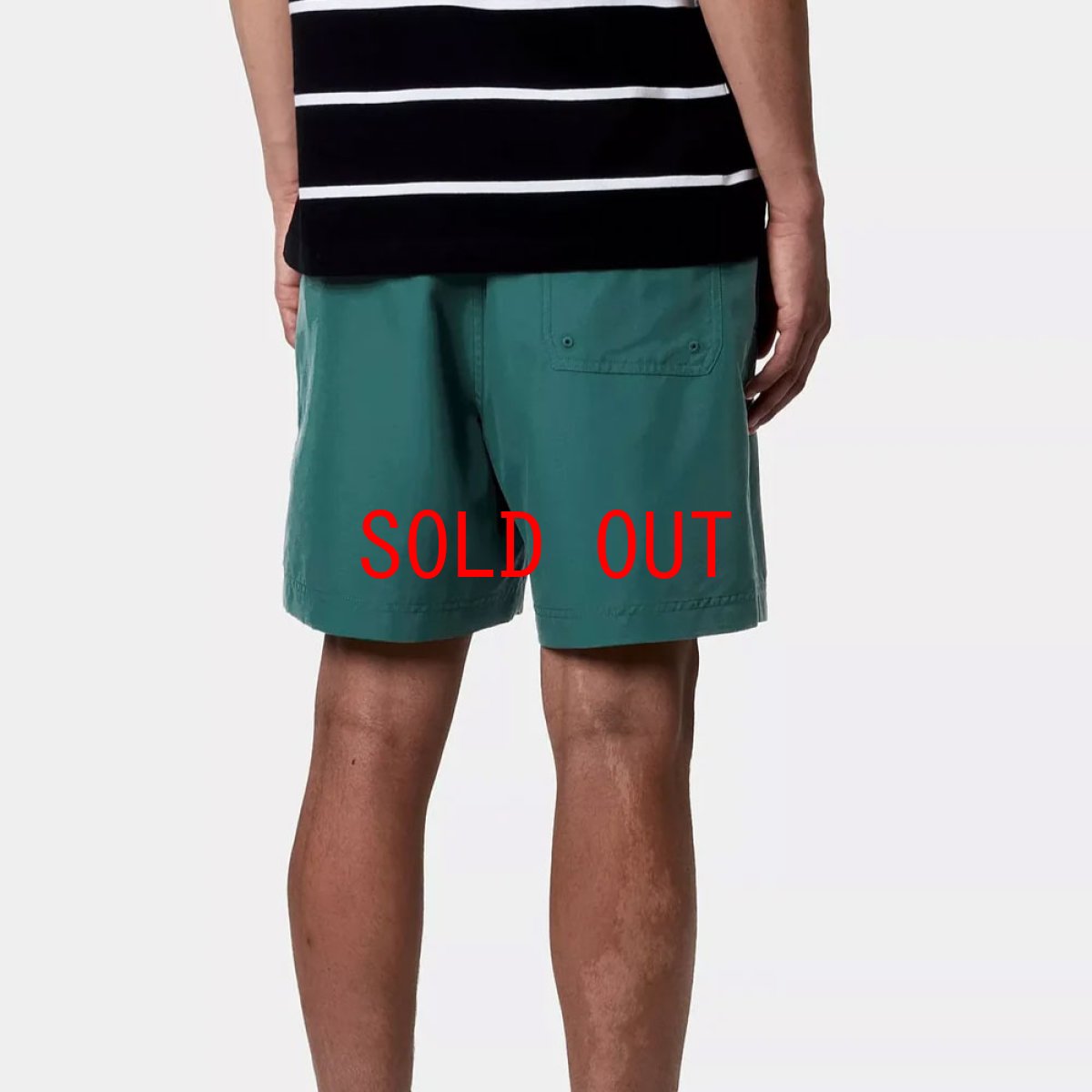 画像4: Chase Swim Trunks GRN 水陸両用 スイム トランクス ショーツ パンツ (4)