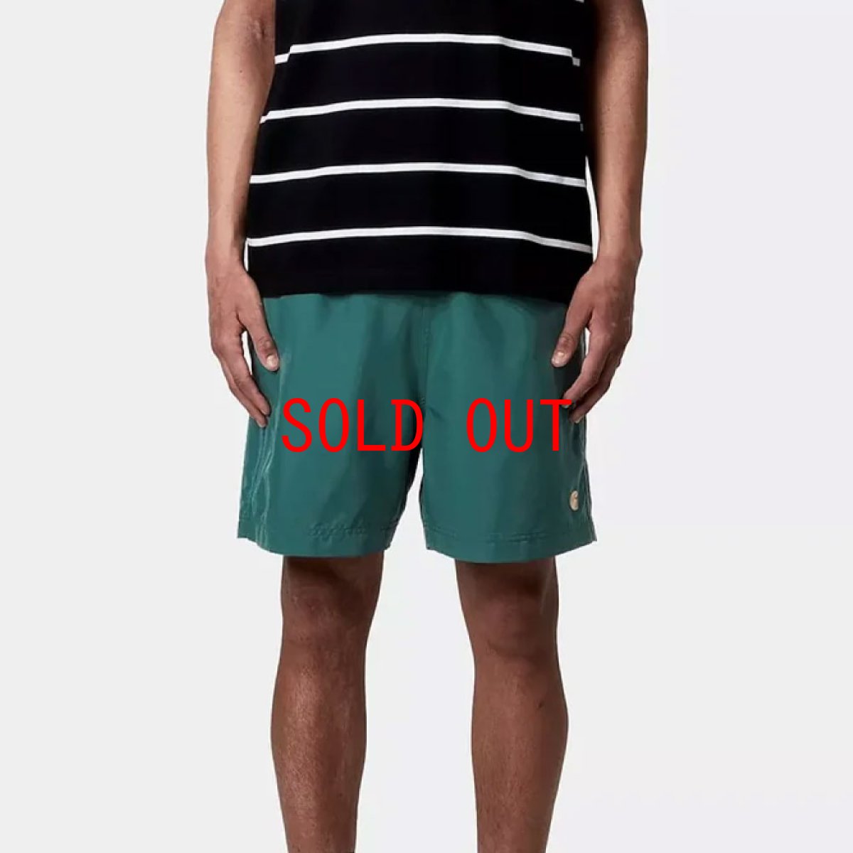 画像7: Chase Swim Trunks GRN 水陸両用 スイム トランクス ショーツ パンツ (7)