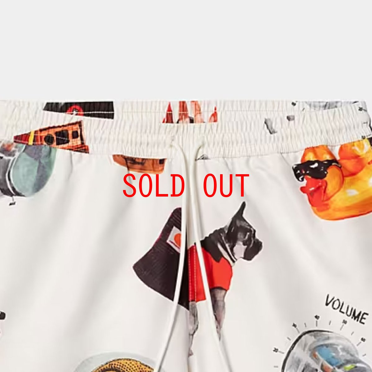 画像6: Slater Swim Jacob Rochester Print Shorts 水陸両用 スイム ショーツ ハーフ パンツ (6)