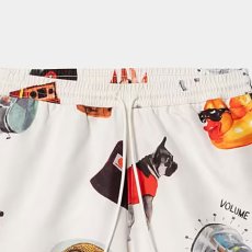 画像6: Slater Swim Jacob Rochester Print Shorts 水陸両用 スイム ショーツ ハーフ パンツ (6)